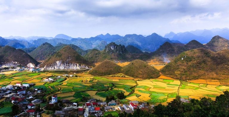 Quan Ba valley with golden rice fields and karst peaks, Ha Giang - Rose Travel