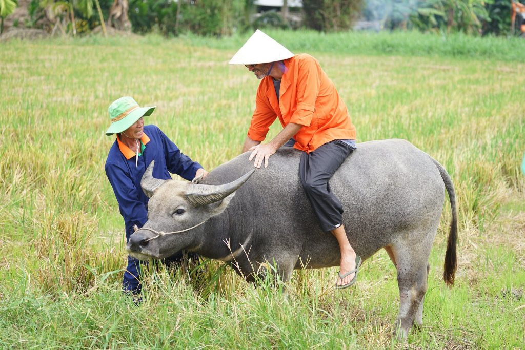 HOI AN MORNING COUNTRYSIDE FARMING & BASKET BOAT EXPERIENCE