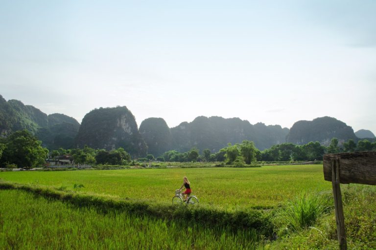 Ninh Binh Highlights & Countryside Escape – photo 3 - Rose Travel