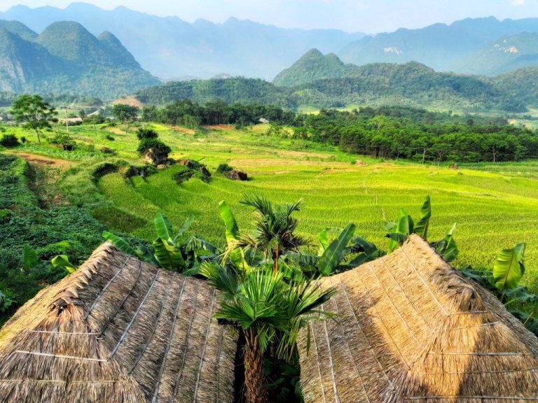 Thatched bungalows overlooking the Pu Luong valley - Rose Travel