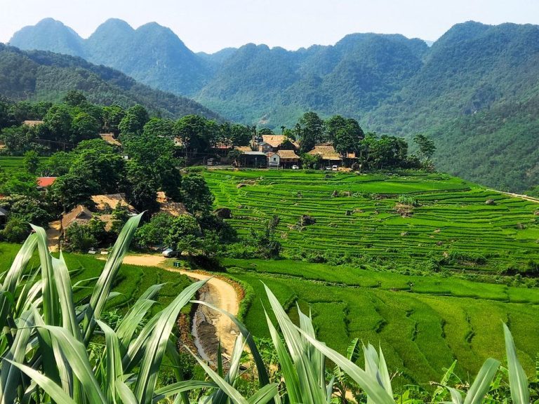 Stilt-house village among green terraces in Pu Luong - Rose Travel