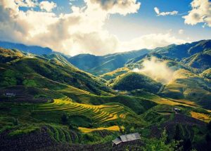 Sapa