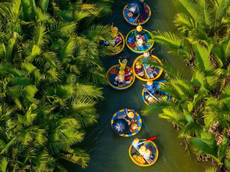Basket boats in the Bay Mau coconut forest seen from above